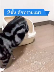 【ส่งใน24 ชม】แผ่นดักทรายแมวแผ่นดักทรายแมว 2 ชั้นล้างน้ำได้ เททรายออกได้ ช่วยดัก ทรายแมว ที่ติดตามเท้า2-layer cat litter catcher