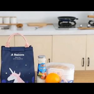 Ready Stock- Insulated Lunch Bag Box Cooler Tote Bag Cooler Bag Leakproof Picnic Bag Reusable Lunch Bag -LBUN03 ✅✅✅✅✅✅**** PRINTING CUSTOM LOGO AVAILABLE *****✅✅✅✅✅✅