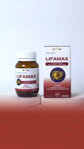 [Bảo Hành] Combo 3 hộp Bổ gan LIFAMAX 30 viên giúp giải độc mát gan phục hồi chức năng gan FAMAX