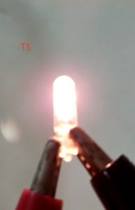 Bóng đèn ghim t10 demi 12v và 24v chính hãng gồm 2 bóng