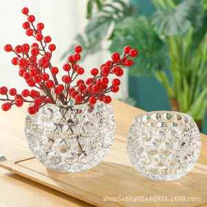 SHUQUE | Transparent Water Plant Glass Vase Round