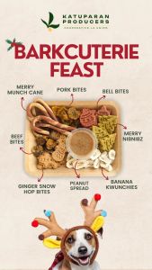 Holiday Barkcuterie: Organic Christmas Dog Treats Feast