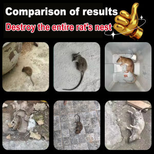 💥Rats Favorite Bait!🐀racun tikus paling kuat The mouse dies dry and odorless ubat tikus paling kuat tikus mati ubat racun tikus mati 3 saat mouse killer rat killer rat bait rat repellent老鼠药 老鼠药三步倒Efficacy 99.96%