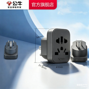 Bull | International Home Travel Adaptor