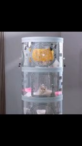 ⭐ROUND CAT VILLA⭐ Transparent Cat Condo Cat Tower Kitten Multi Cat Small Pet Litter Box Hammock Lockable Key Lock