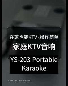 YS 219 Wireless Bluetooth Karaoke Speaker with Built-in Mic and 100W High-Power Audio for Home TV/Family Parties