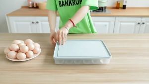 24 Grids Portable Egg Storage Box Refrigerator Tray  |  Portable Picnic Egg Storage Box Plastic Egg Box Tray