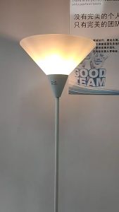 lightse【COD】Floor Lamp Nordic LED Lamp Shade Bedroom Night Light Living room floor lamp Free light bulb