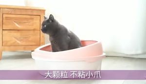 6L/1.8KG Xiaomao Tofu Cat Litter Premium Cat Litter Tofu Super Clumping Sand Dust Free High Absorption Vacuum Pack Cheap Pasir Kucing Toufu Murah Wangi 豆腐猫砂