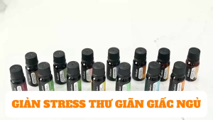 Tinh Dầu Thiên Nhiên 10ml – Dùng Cho Máy Tạo Ẩm Dầu Tan Trong Nước Khử Mùi Thanh Lọc Không Khí Thư Giãn Giấc Ngủ