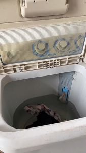 【READY STOCK】✨Clothing Laundry Scented Fragrance Beads✨Pengwangian Baju