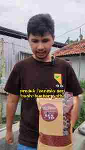 Makanan Ikan Koi Mas Koki Wild Energy Naikkan Ungu Untuk Goromo Koromo 1 Kg IKANESIA