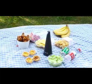 พัดลมไล่แมลงวันไฟฟ้า แบบพกพา เสียงเงียบ พร้อมใบพัด สําหรับโต๊ะอาหารกลางแจ้ง