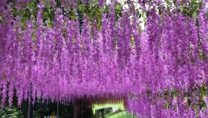 1PCS 110cm/Piece Artificial Fake Wisteria Vine Ratta Hanging Garland Silk Flowers String Home Party Wedding Decor