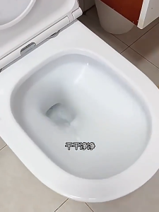 500ML Toilet Bowl Cleaner Powerful Stain Remover Descaler Odor Removal Deep Cleaning Household 馬桶潔廁劑 厕所除垢剂 浴室清洁剂