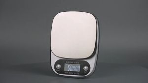 BERGARANSI Taffware Digipounds Timbangan Dapur Digital charger kue kopi Mini Scale 10kg 1g Z2S