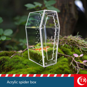Magnetic Acrylic Spider Enclosure | Transparent Habitat Box for Jumping Spiders & Insects | Safe Gentle & Easy-Access Design