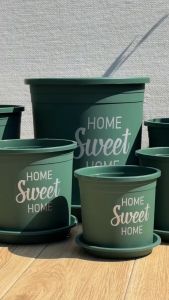 Chậu nhựa trồng cây VIETPOT màu xanh hoa văn Sweet Home trồng hoa kiểng lá để nhà sân vườn.