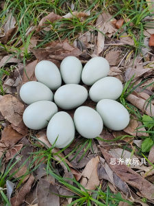 Wooden Fake Pheasant Egg Toy Solid Wood Simulation Duck Egg for Pretend Play Nest Building Grass Egg Prank Graffiti Shooting