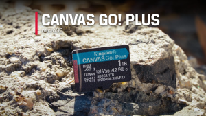 Kingston Canvas Go! Plus microSD Memory Card SDCG3 / SDCG4 ( 64GB / 128GB / 256GB / 512GB / 1TB )