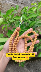 Japamala Jenitri Rudraksha 108 Butir Panca Warna