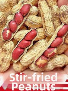 Traditionally Roasted Peanuts In Shell
