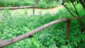 Shipping from Malaysia solar light outdoor 92 LED beads Solar Sensor Light Waterproof solar charging Standing Clip Lamp Dual-use USB Outdoor courtyard lights outdoor outdoor lighting 太阳能灯户外灯