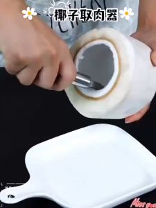 Coconut Scraper Stainless Steel Coconut Grater Slicer Multi-Purpose Fish Scaler Coconut Meat Removal Durable