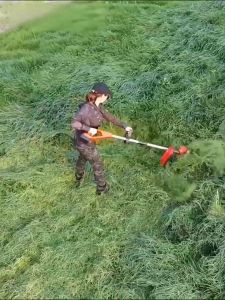 เครื่องตัดหญ้า 1880W กับ 72 ชั่วโมง เยอรมัน สำหรับการกำจัดวัชพืช, ตัดไม้ และทวงคืนพื้นที่รกร้าง ปฏิเสธวัชพืชพันกัน ช่วยล้อเสริมที่ถอดออกได้