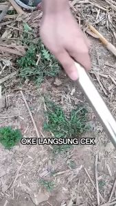 cangkul garuk 2in1 gagang besi