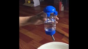 Bình nước con Thỏ tiện lợi Bình nước gắn chuồng cho chó mèo Hamster Chuột Lang 400ML