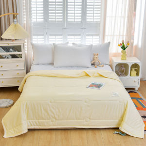 Summer Washable Thin Quilt