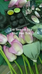 Trà Sen Hồ Tây Chè ướp bông sen sấy khô Quà biếu thượng hạng