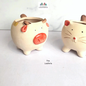 The Leaferie Allie Animal (Series 3) small mini plant pots. flowerpot . flower pot . planter . planters . Succulents