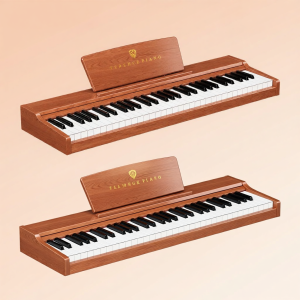 Professional Home Entry Level Electric Piano