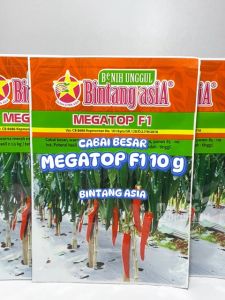 Benih Cabai Merah Besar Megatop F1 & Bintang Asia