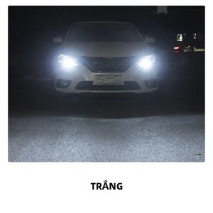 2 Bóng Đèn LED T10 W5W 12/24V Đèn Đọc Sách Nội Thất Ô Tô Đèn Biển Số Trong Suốt 194 168 Lắp Chung Chip 3570