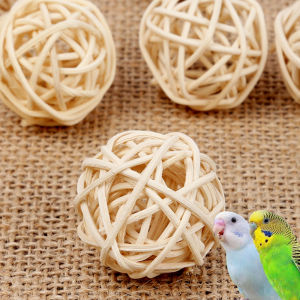 Interactive Squeak Ball Swing Toy for Parrots Dental Care Training Feeding Exploration Tiger Lily Bone Bird Supplies Parakeet