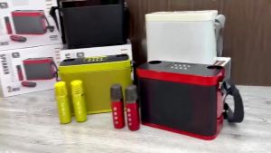 Loa bluetooth karaoke Su-Yosd YS-219 - Tặng kèm 2 micro không dây - Hiệu ứng đổi giọng điều chỉnh echo reverb effect - Hiệu ứng đổi tông giọng vui nhộn - Loa xách tay du lịch thời trang nghe nhạc