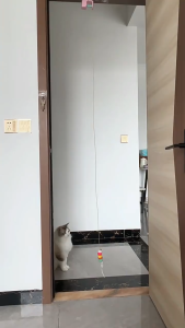 Cat Self-Happy Boredom Relief Tool Yoyo Electric Smart Cat Teasing Toy Automatic Hanging Feather Toy