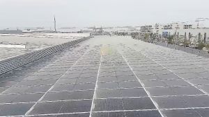 TRINA VERTEX N 595wp Bifacial N-Type Monocrystaline Solar Panel - Free Packing Kayu