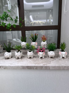 High-Realism Ceramic Plant Pots for Succulent Plants Nordic Style Decorative Accessories for Bookshelves And Washstands