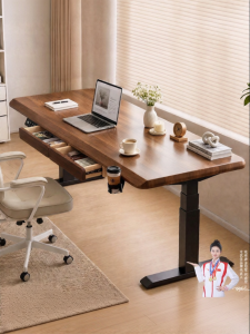 MUYISHENG | Electric Adjustable Intelligent Desk