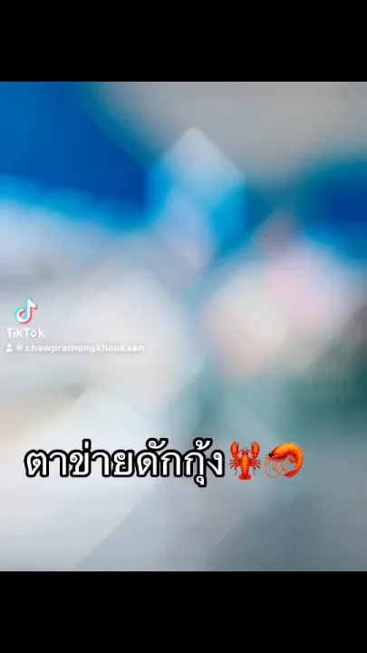 ตาข่ายดักกุ้งทรงร่ม 4,6,8 ช่อง สำหรับดักปลาเล็ก
