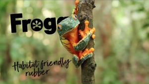 FROGG "TUG OF PAW" Natural Rubber Dog Toy