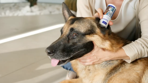 EpiOtic Ear Cleaner for Dogs and Cats (125ml) VIRBAC epi-otic ubat telinga kucing anjing ear itchy