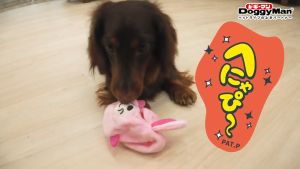 Đồ Chơi Cho Chó Pupi Doggyman Có Còi Vui Nhộn