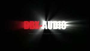 DBX-AUDIO 2231 Dual-Channel 31-band 2 Series Professional Stage Performance Home Conference 2-Channel Equalizer