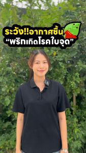 วัคซีนพืช ไคโตซาน ยากำจัดเชื้อรา ไวรัส แบคทีเรีย โรคเน่าคอดิน โรคใบจุด โรคราสนิมขาวในผัก ราน้ำค้าง กำจัดแมลง ผลหลุดร่วง โรคพริกกุ้งแห้ง โรคฤดูฝน ใบจุด ใบไห้ม ใบด่าง เชื้อราเพิ่มผลผลิ - Lazada