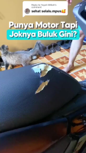Wiselie - Pengusir Kucing Ampuh 100% dengan Bahan Alami Aman Efektif Mengusir Kucing Tanpa Racun Menjaga Kebersihan dan Keindahan Taman Tidak Meninggalkan Bau Menyengat Mudah Digunakan Tahan Lama Cocok untuk Penggunaan di Dalam dan Luar Ruang